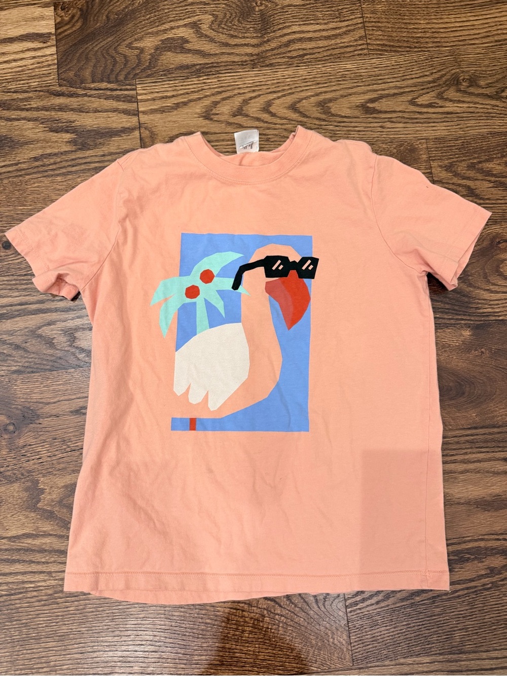 Hanna Andersson Tee with Sunglasses Flamingo Graphic